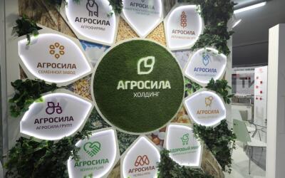 АГРОСИЛА по итогам 2019 года увеличит экспорт вдвое