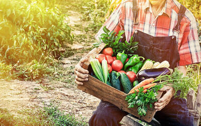 В Хабаровском крае возрождают систему скупки излишков сельхозпродуктов