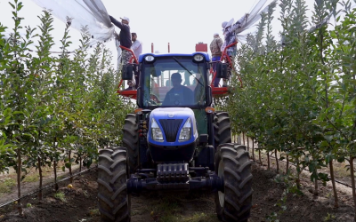 New Holland для успешного садоводства. Опыт компании «Крайсервис.