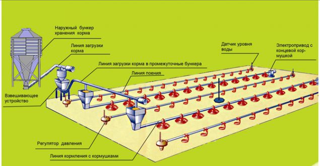 Оборудование для напольного содержания птиц (кур, индюков, уток, перепёлок, куропаток)